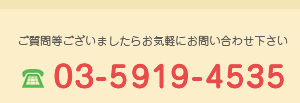 03-5919-4535
